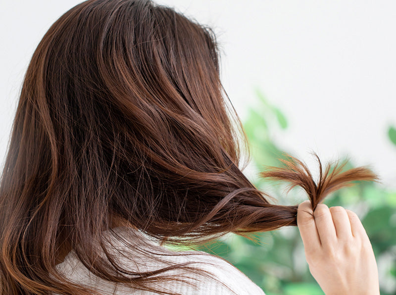 Hair Heat Damage 101: Prevention and Repair banner image